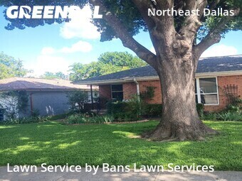 Lawn Service nearby Dallas, TX, 