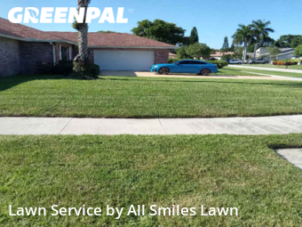 Grass Cutting nearby Boca Raton, FL, 