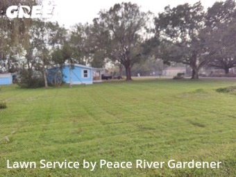 Lawn Cut nearby Mulberry, FL, 