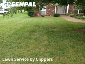 Lawn Cut nearby Gallatin, TN, 