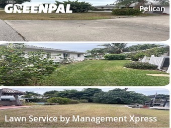 Landscaping Maintenance In Cape Coral,33914,Landscaping Cleanup by Management Xpress , work completed in Dec , 2025