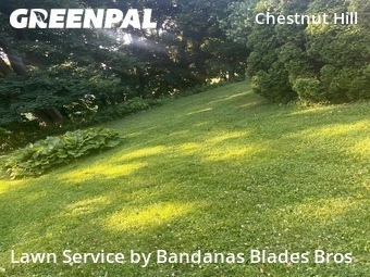 Yard Mowing nearby Philadelphia, PA, 