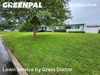 Lawn Cutin Orlando,32807,Lawn Cutting by Grass Doctor, work completed in Oct , 2025