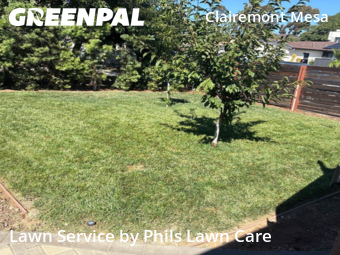 Work completed by affordable-landscaping-maintenance-services-in-San Diego-CA