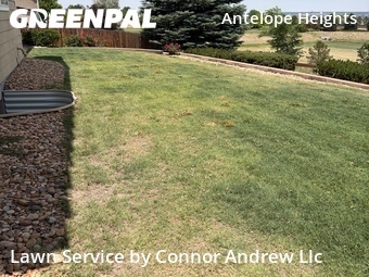 Lawn Mow nearby Parker, CO, 