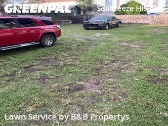 Lawn Cutting nearby Daytona Beach, FL, 