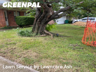Lawn Mowing Service nearby Denton, TX, 