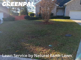 Lawn Care Service nearby Columbia, SC, 