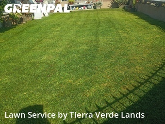 Lawn Cutting nearby Downey, CA, 