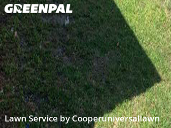 Lawn Service nearby Davie, FL, 