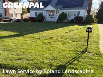 Lawn mowed in Newington, 6111