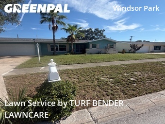 Grass Cut nearby Clearwater, FL, 
