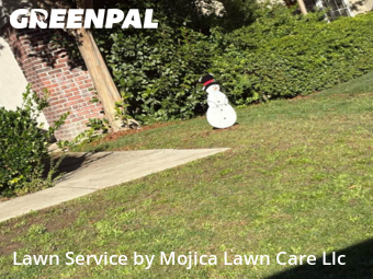 Work completed by professional-lawn-care-service-in-Rocklin-CA