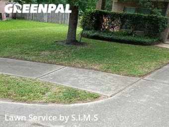 Lawn Mow nearby Spring, TX, 