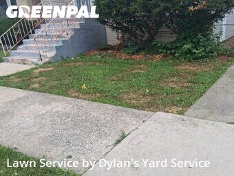 Lawn Service nearby Berwyn, IL, 