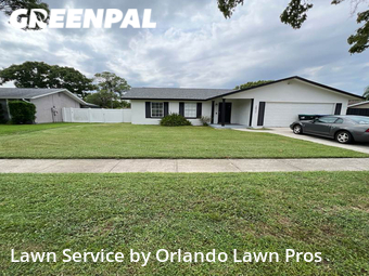 Grass Cut nearby Union Park, FL, 