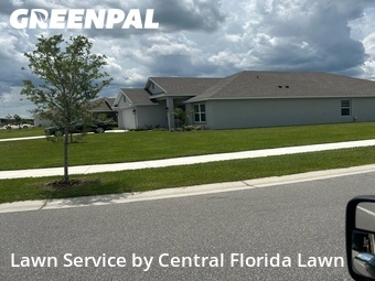 Yard Cutting nearby Auburndale, FL, 