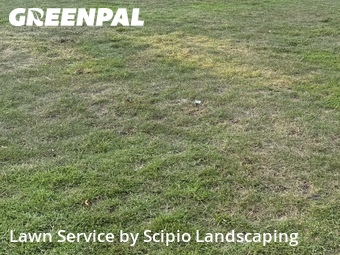Lawn Mow nearby Columbia, SC, 
