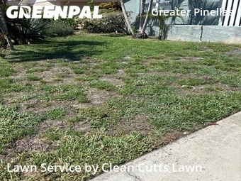 Grass Cutting nearby St. Petersburg, FL, 
