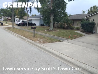 Lawn Care nearby Palm Harbor, FL, 
