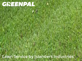 Lawn Mowing nearby Baton Rouge, LA, 
