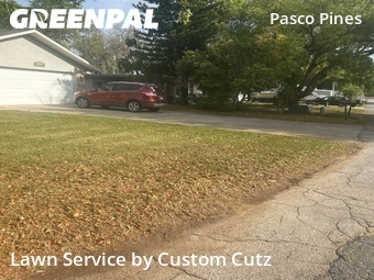 Lawn Service nearby Holiday, FL, 