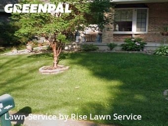 Grass Cutting nearby Bettendorf, IA, 