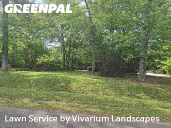 Lawn Service nearby York, NC, 