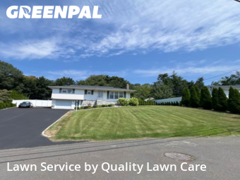 Grass Care in Waterbury, 6705, Lawn Cutting by Quality Lawn Care, work completed in Oct , 2025