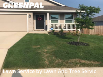 Grass Cutting nearby Bulverde, TX, 
