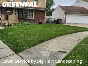 Grass Cut nearby Clinton Township, MI, 