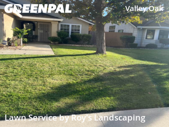 affordable-landscaping-maintenance-services-in-Stockton-CA