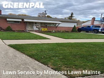 Yard Services in Southgate, 48195, Yard Care by Mcintees Lawn Mainte, work completed in Nov , 2025