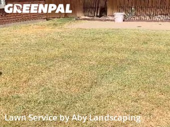 Grass Cut nearby Richardson, TX, 