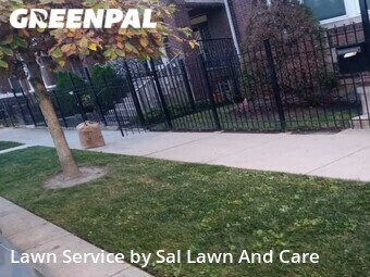 Lawn Care Service nearby Chicago, IN, 