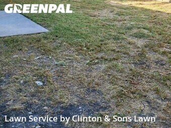 Lawn Mowing Service nearby San Antonio, TX, 