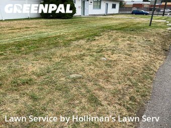 Lawn Care nearby Millwood, WA, 