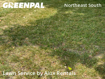 Lawn Cut nearby South Bend, IN, 