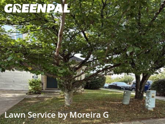 Lawn Cutting in Owings Mills, 21117, Lawn Maintenance by Moreira G, work completed in Nov , 2025