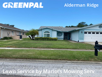 Lawn Maintenance nearby Palm Harbor, FL, 