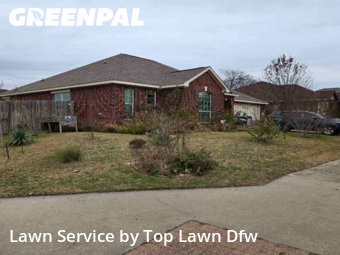 Landscaping Companies In Denton,76209,Landscaping Cleanup by Top Lawn Dfw, work completed in Dec , 2025