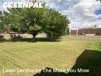 Yard Cutting nearby Socorro, TX, 