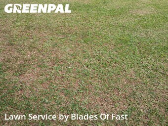 Lawn Cutting nearby Atlanta, GA, 