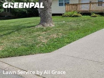 Yard Cutting nearby Independence, MO, 