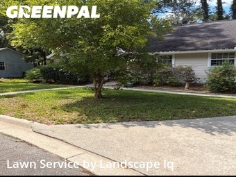 Lawn Cut nearby Gainesville, FL, 