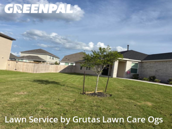 Grass Cutting nearby Marion, TX, 