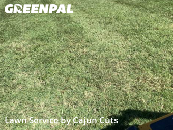 Lawn Care Service nearby Murfreesboro, TN, 