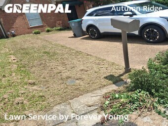 Lawn Mowing Service nearby Memphis, TN, 