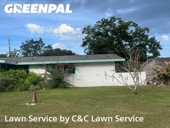 Grass Cut nearby Rockledge, FL, 