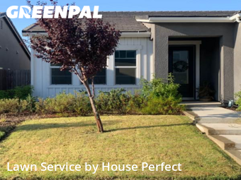 Work completed by the-yard-cutting-businesses-in-Madera-CA